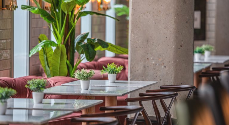 Marvin & the gang bar